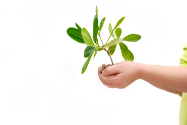 Similar image 1252725