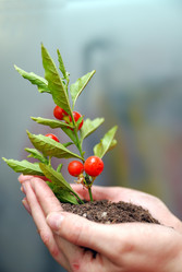 Similar image 1252734