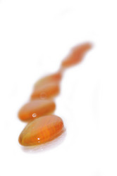 Similar image 1252801