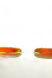 Similar image 1252828