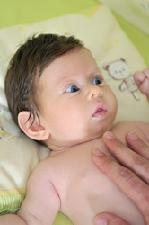 Similar image 1252982