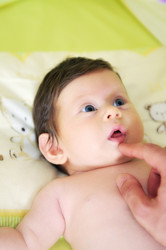 Similar image 1252990