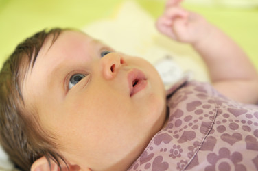 Similar image 1253033