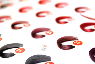 Similar image 1253224