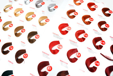 Similar image 1253229