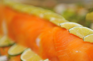 Similar image 1253663