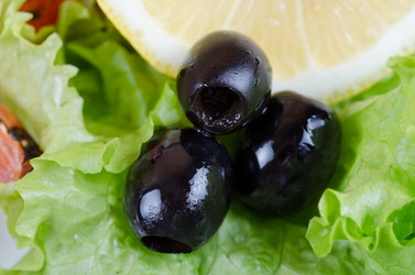 Similar image 1254026