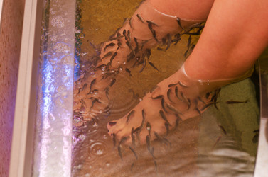 Similar image 1254036