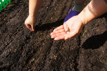 Similar image 1254126