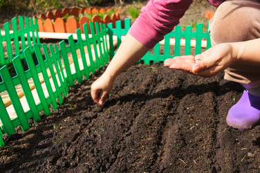 Similar image 1254127