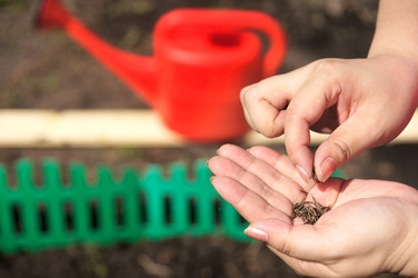 Similar image 1254129