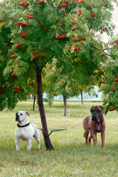 Similar image 1254131