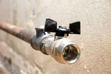 Similar image 1254135