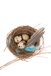 Similar image 1254154