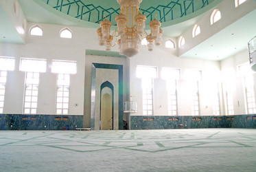 Similar image 1254226