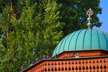 Similar image 1254234