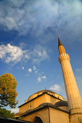 Similar image 1254240