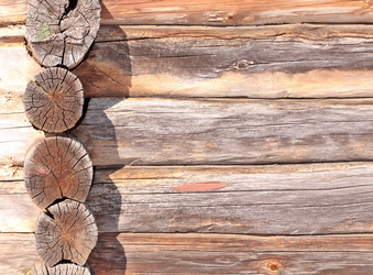 Similar image 1254262