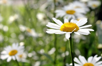 Similar image 1254264