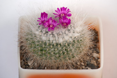 Similar image 1254407