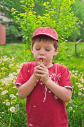 Similar image 1254413