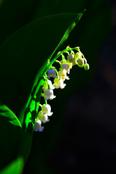 Similar image 1254436