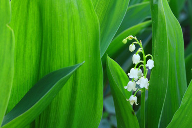 Similar image 1254437