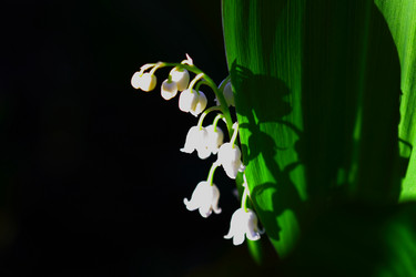 Similar image 1254438