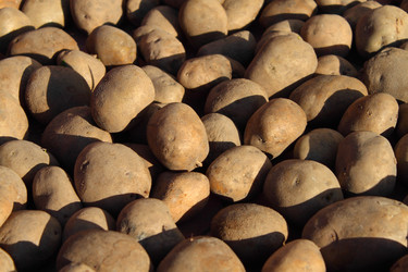 Similar image 1254440