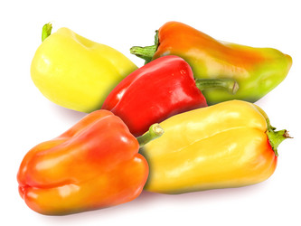 Similar image 1254504