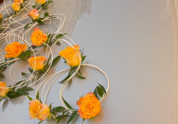 Similar image 1254561