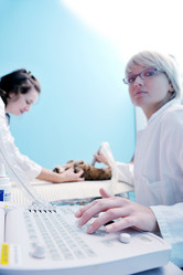 Similar image 1255226