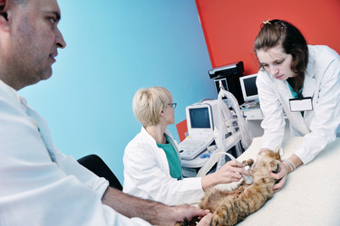 Similar image 1255242