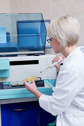 Similar image 1255899