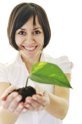 Similar image 1256132