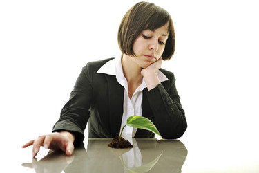 Similar image 1256141