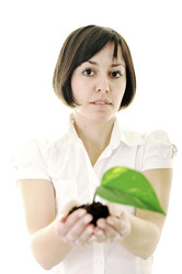 Similar image 1256142