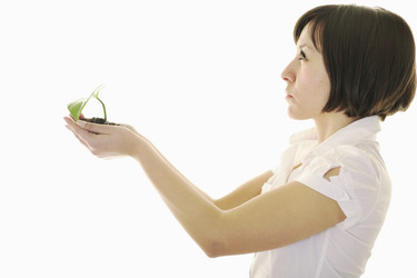 Similar image 1256147