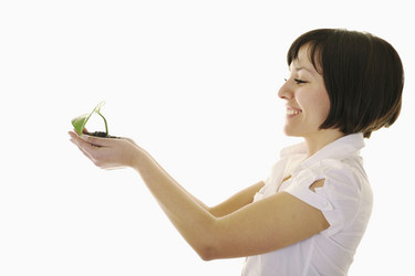 Similar image 1256149