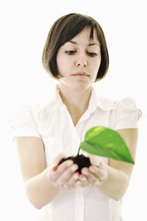 Similar image 1256150