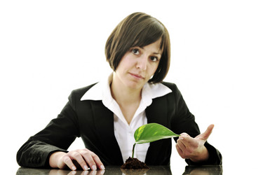 Similar image 1256155