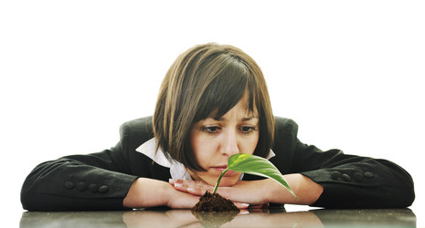 Similar image 1256159