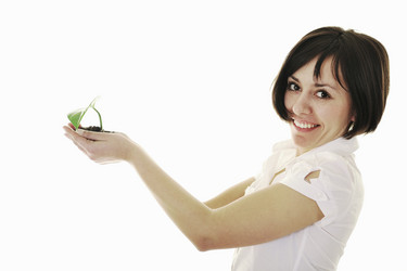 Similar image 1256160