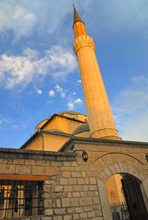 Similar image 1256221