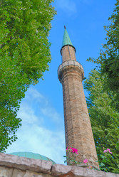 Similar image 1256236