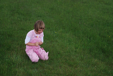 Similar image 1257584