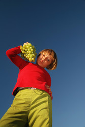 Similar image 1257587