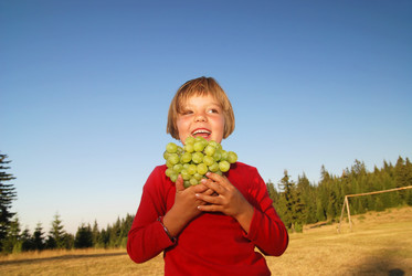 Similar image 1257605