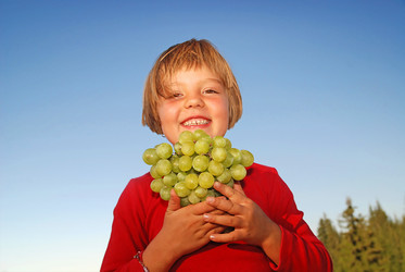 Similar image 1257606