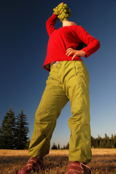 Similar image 1257612